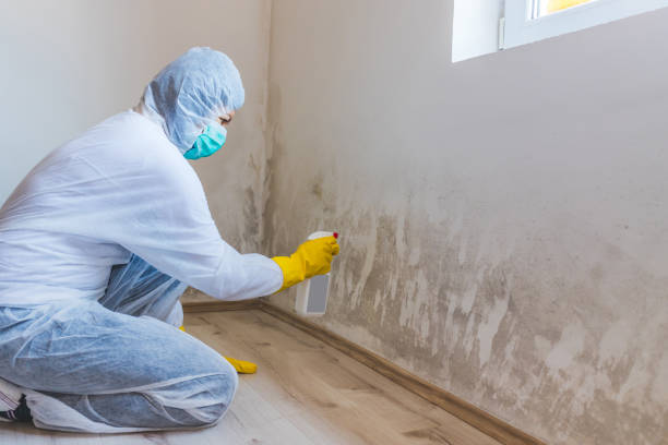 Licensed Commercial Mold Remediation service in Huntingdon Valley, PA - WQB Mold Removal