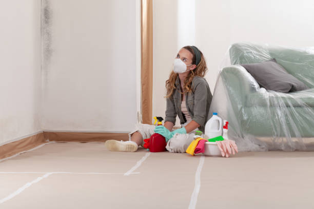Reliable Commercial Mold Remediation contractor in Huntingdon Valley, PA by WQB Mold Removal